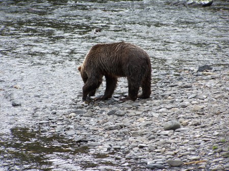 can't bearly stand the the fishing