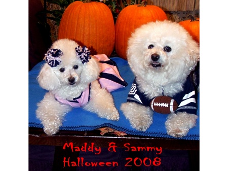 Maddy & Sammy Halloween 2008