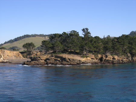 Whaler's Cove in Point Lobos State Park