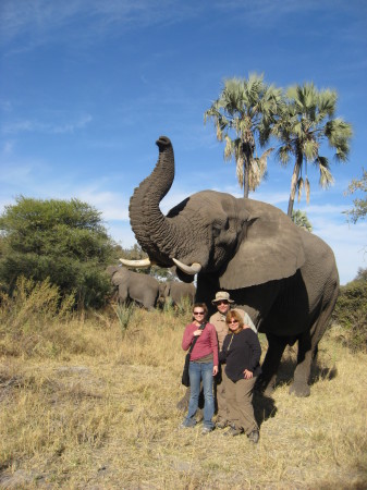 My Family w/ Jabu the Ellie in Botswana