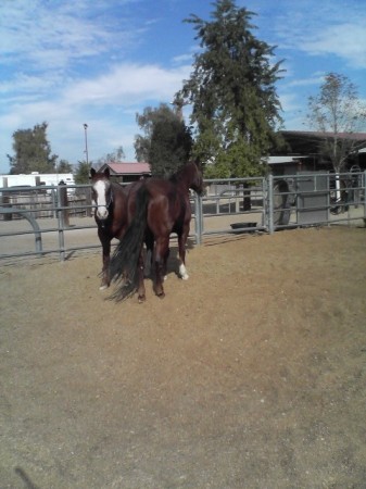 joey & cowgirl 2007