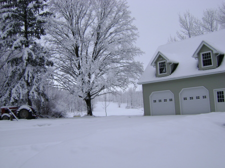 A "backyard" view in winter