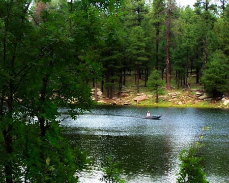 Woods Canyon Lake