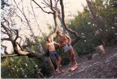 The Beer Tree 1985