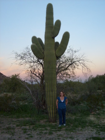 me in arizona