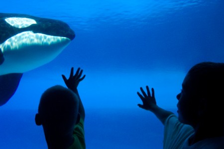 Kyle and Matt at Marineland