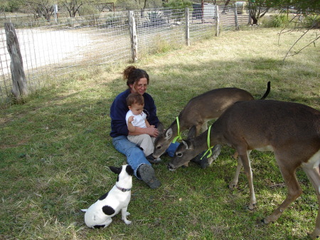 My Grandson Ian, Doe's Fawny & Faline, and pup Prissy