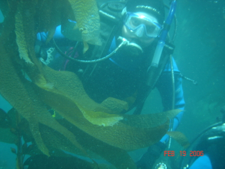 Kelp Beds at Monterey