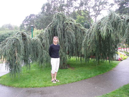 A park--Victoria BC. Would love to live there.