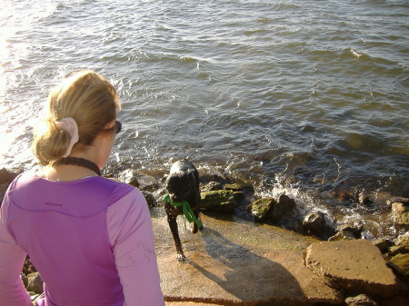 Ike doing a water retrieve Oct. 2008 Florida