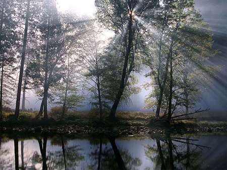 A quiet, tranquil place in Linn Val