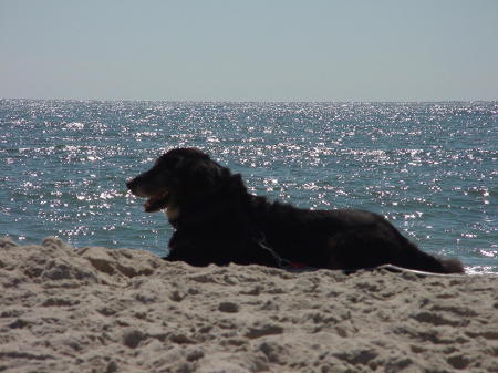 my boy at the beach