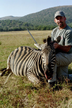 Burchell Zebra, Africa 2004