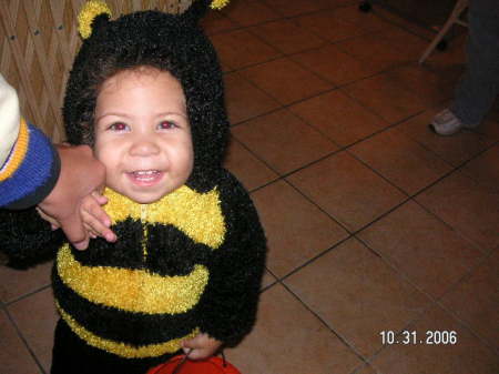 Baby Bumble Bee