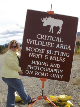 Denali Park Alaska