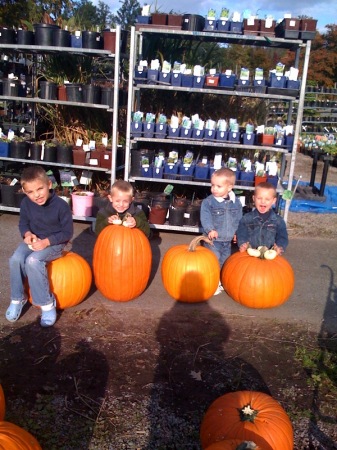 Mitch, Brad, Trey & Luke with Pumpkins