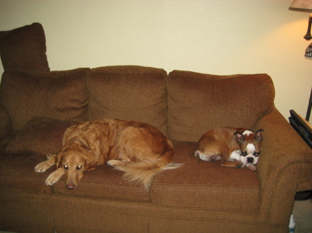 Pauli and Frankie watching TV.