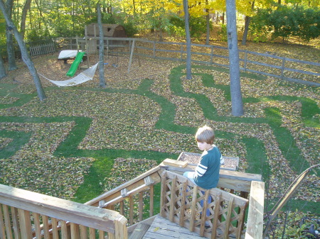 Backyard mazes