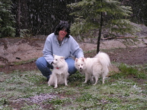 with my dogs in Idaho - first snow of the year