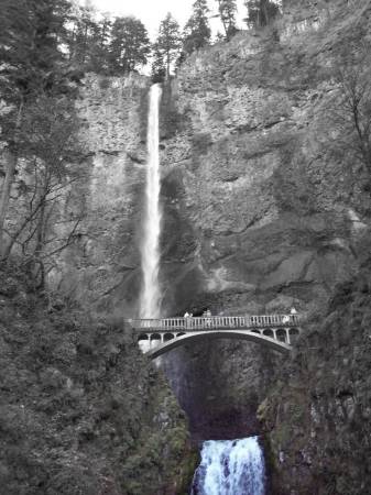 Multnomah Falls B/W