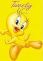 tweety bird!!