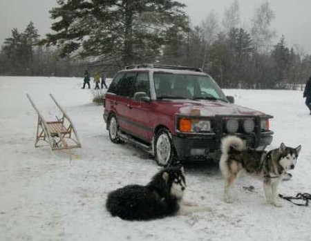 My Rover and sled dog team