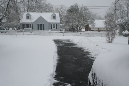 March 2009 Snow