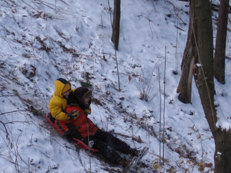 Boys sledding in back yard