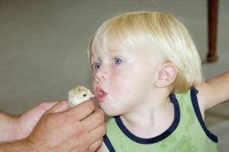 Josiah kissing his first chick