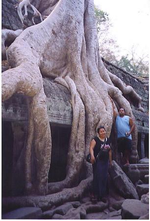 Ta Proum, Siem Reap, Cambodia 2005