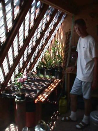 Alex, son in greenhouse