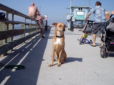 Ty on the Venice Pier