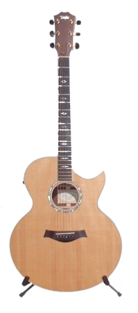 Taylor jumbo steel string