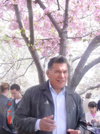 Cherry blossoms on the Potomac