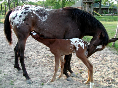 Mother and child