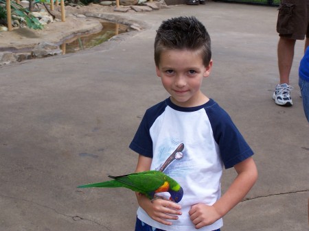 Treyton at the Zoo