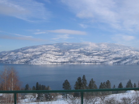 winter view from the deck