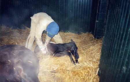 moment of birth in Kentucky 2003