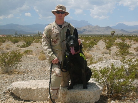 Another Dog in Iraq that care packages went to