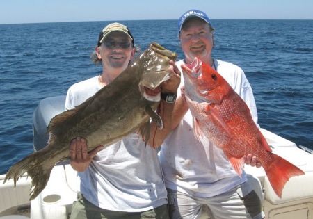 SCAMP GROUPER AND BIG RED