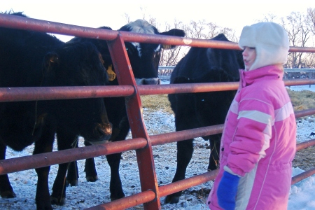 Meeting the Neighbors