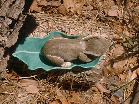 bunny on a log