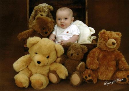 Liam and the Bears