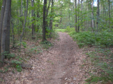 Appalachian Trail , PA