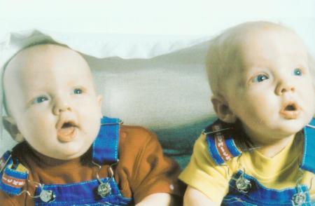 twins 1998