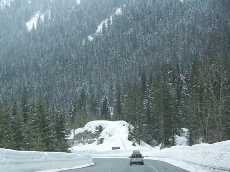 stevens pass in washington