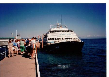 Darlene Stedman's album, The Great Barrier Reef