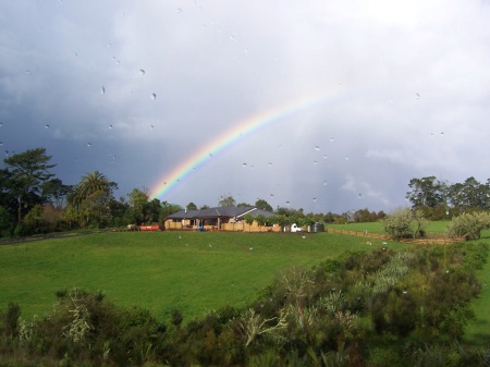 New Zealand rainbow