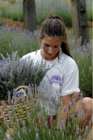 My daughter in the Lavender fields