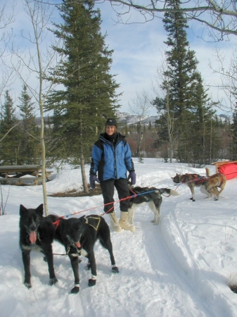 Dog Mushing in the Yukon